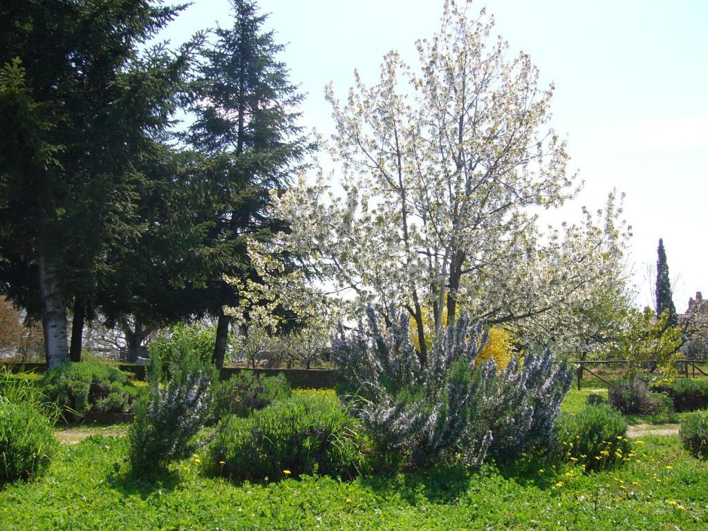 פיטיליאנו Agriturismo San Giacomo מראה חיצוני תמונה